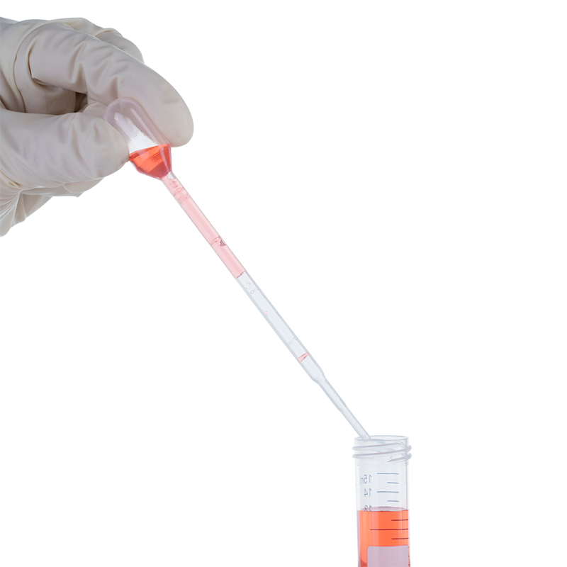 Graduated Transfer Pipettes