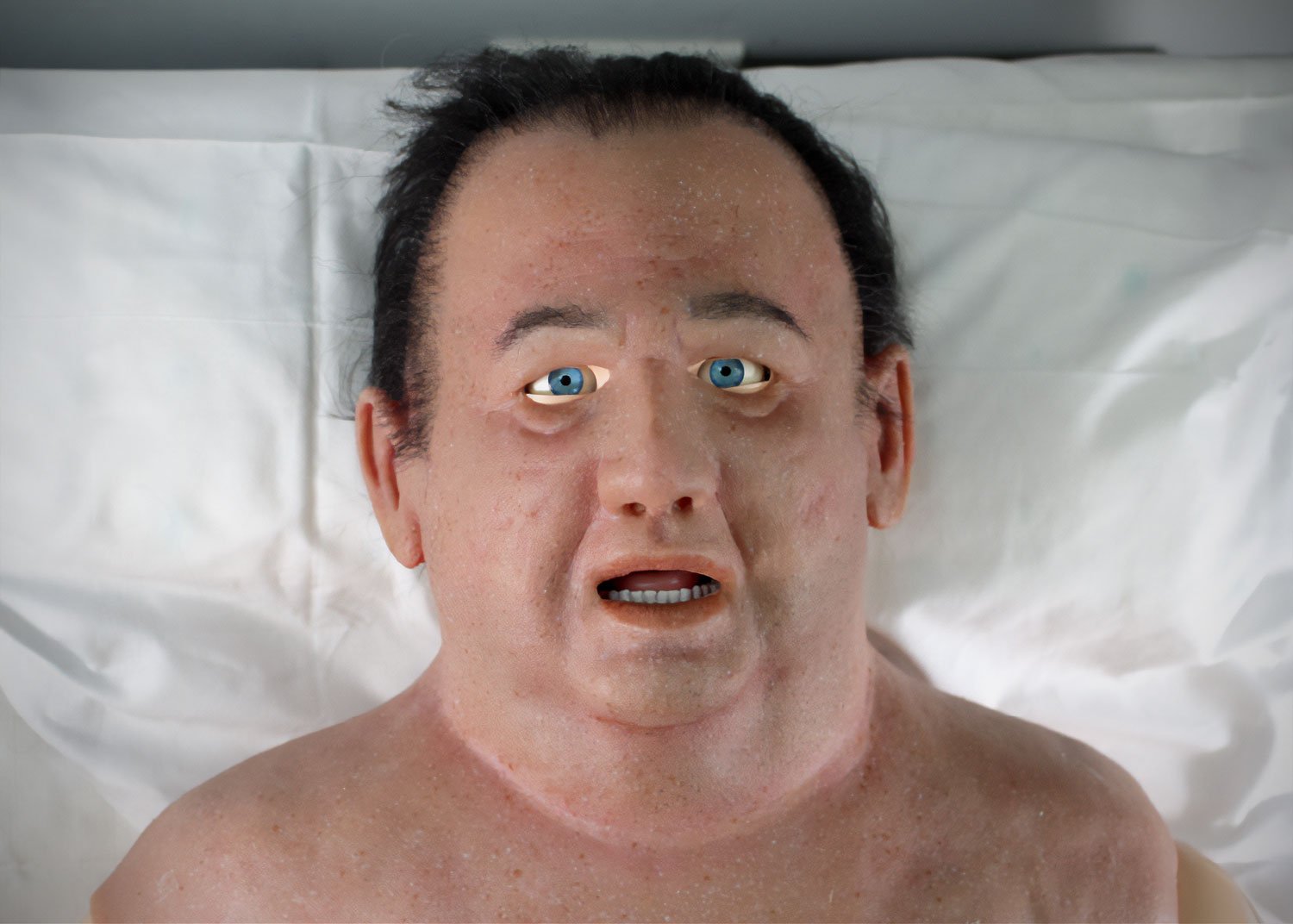 Paul Manikin Overlay