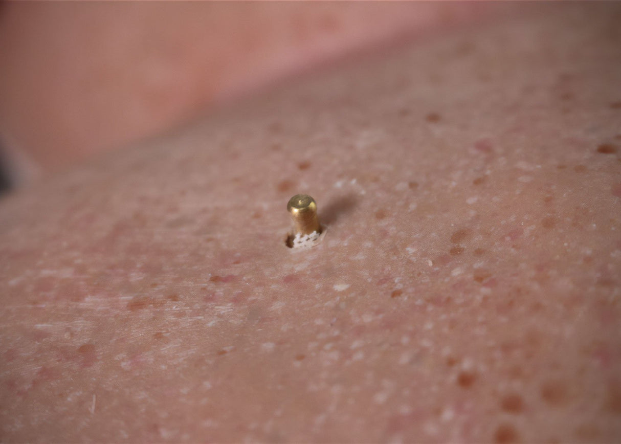 Paul Manikin Overlay