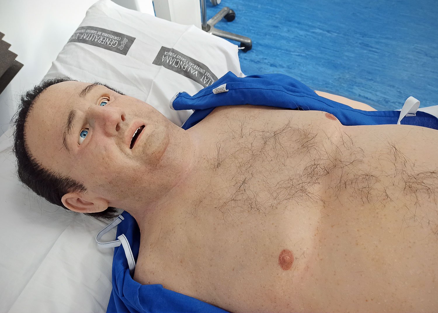 Paul Manikin Overlay