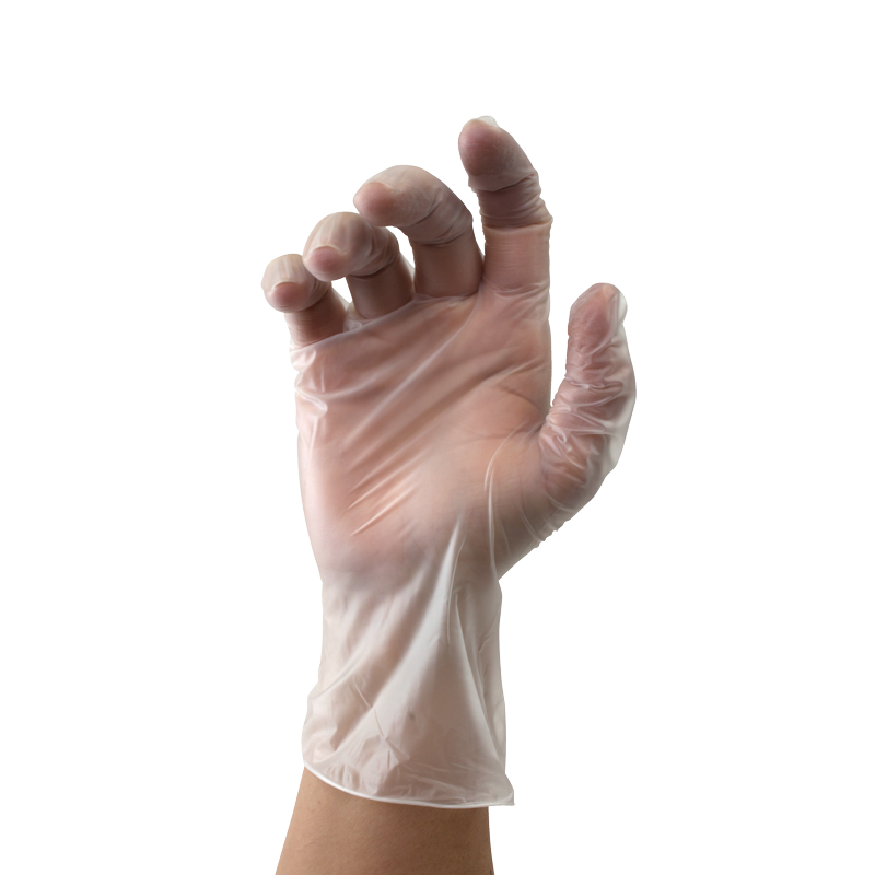 Vinyl Gloves in a Bag, Powder-Free