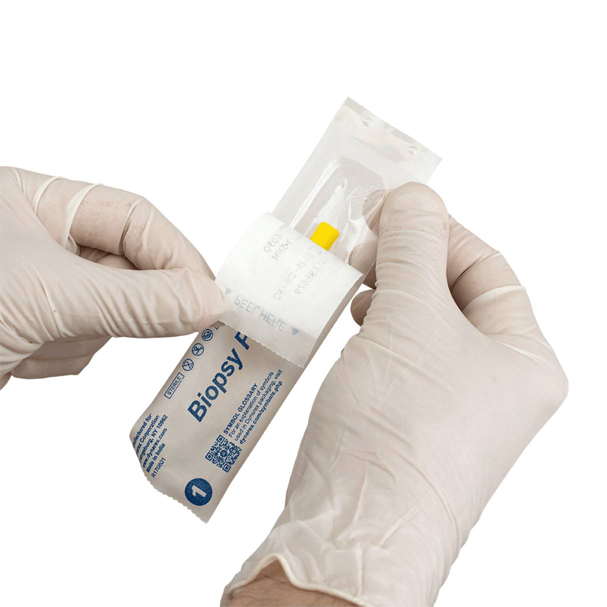 Biopsy Punches