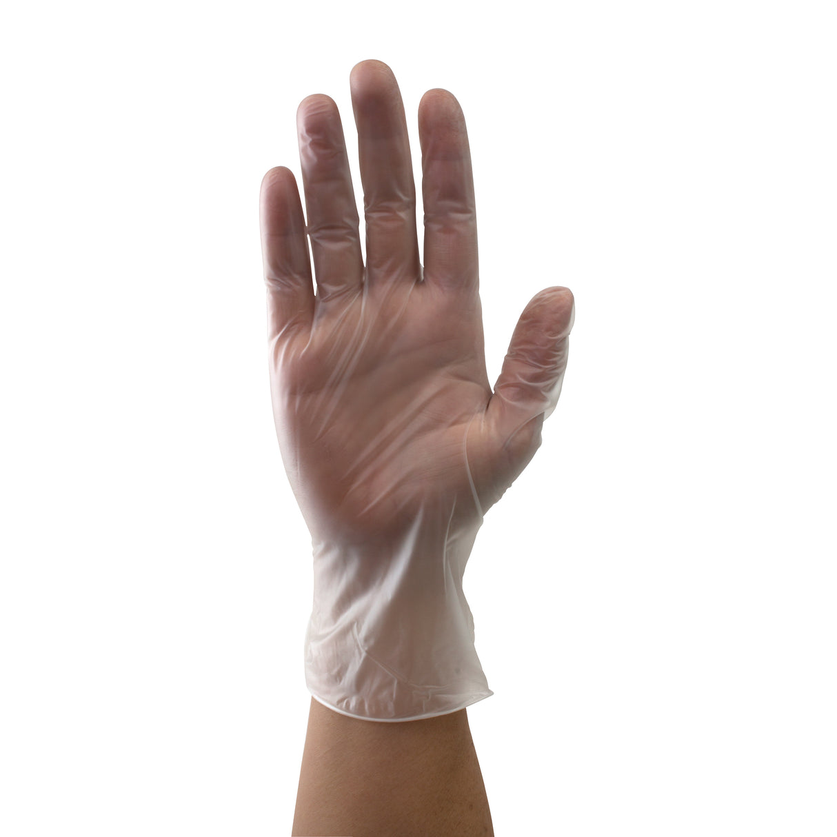 Safe-Touch Vinyl Exam Gloves, Powder-Free