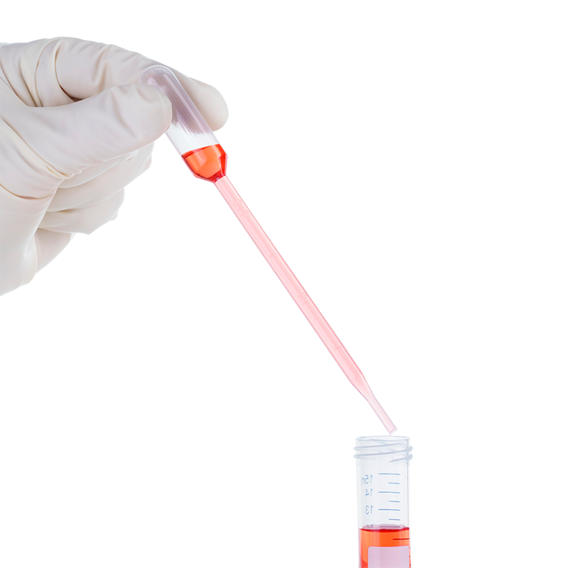 Graduated Transfer Pipettes