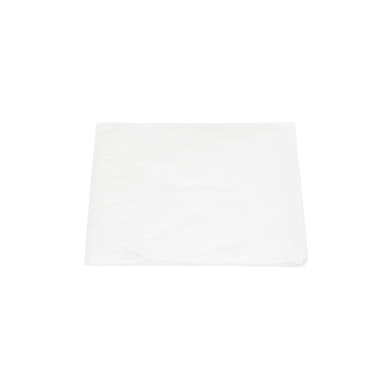Personal Cleansing Washcloths (Dry Wipes)