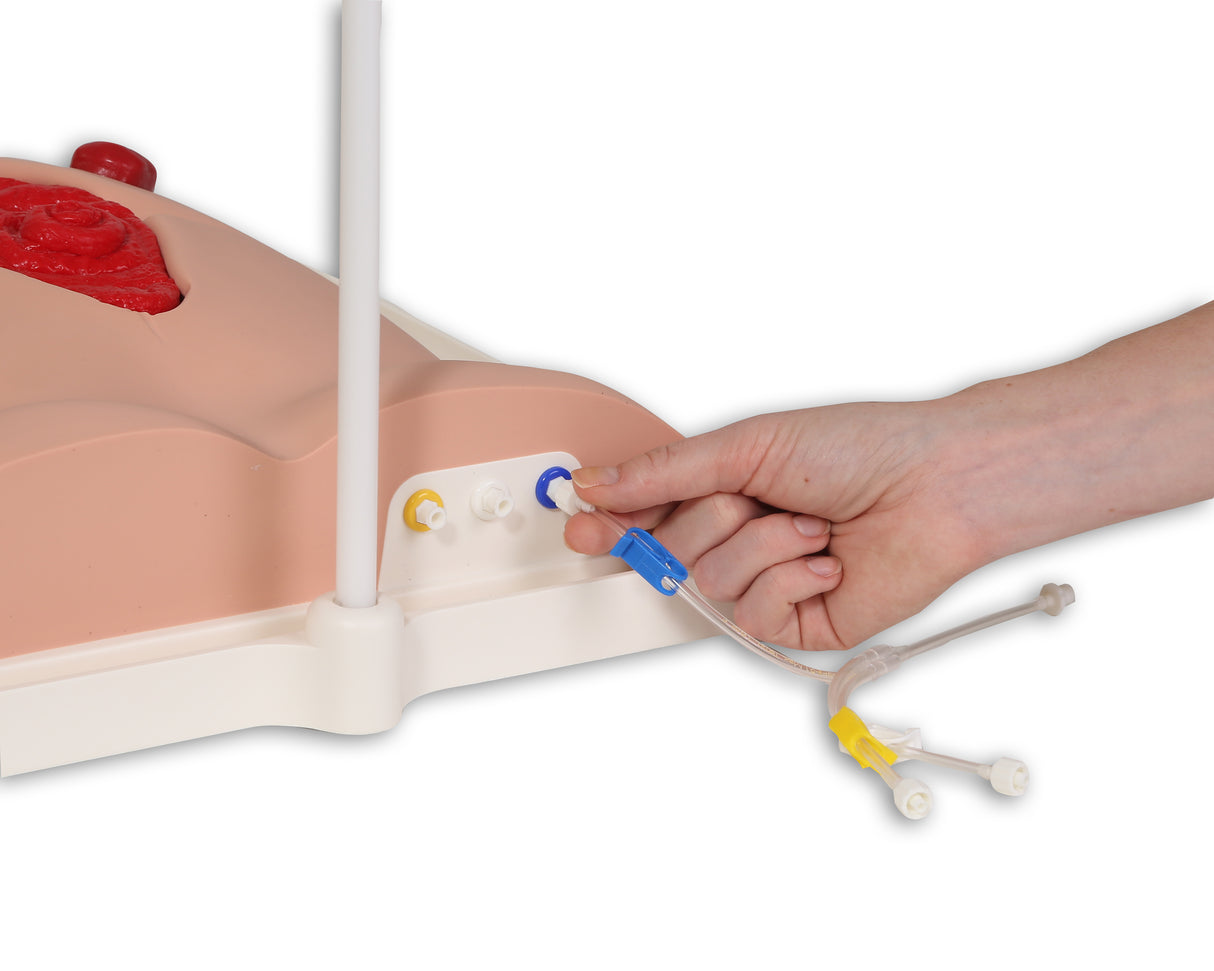 Freddie Fistula Skills Trainer With Case