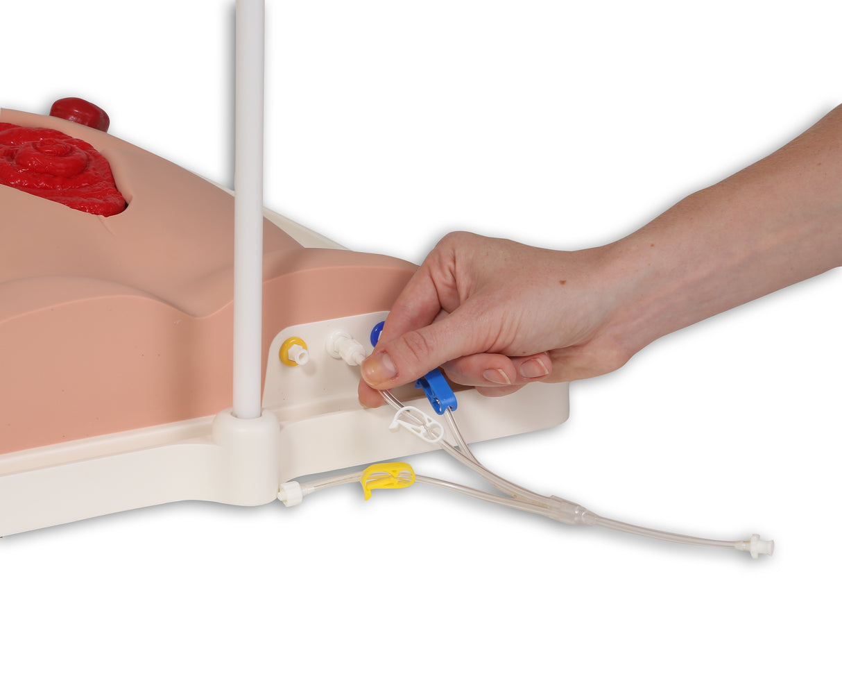 Freddie Fistula Skills Trainer With Case