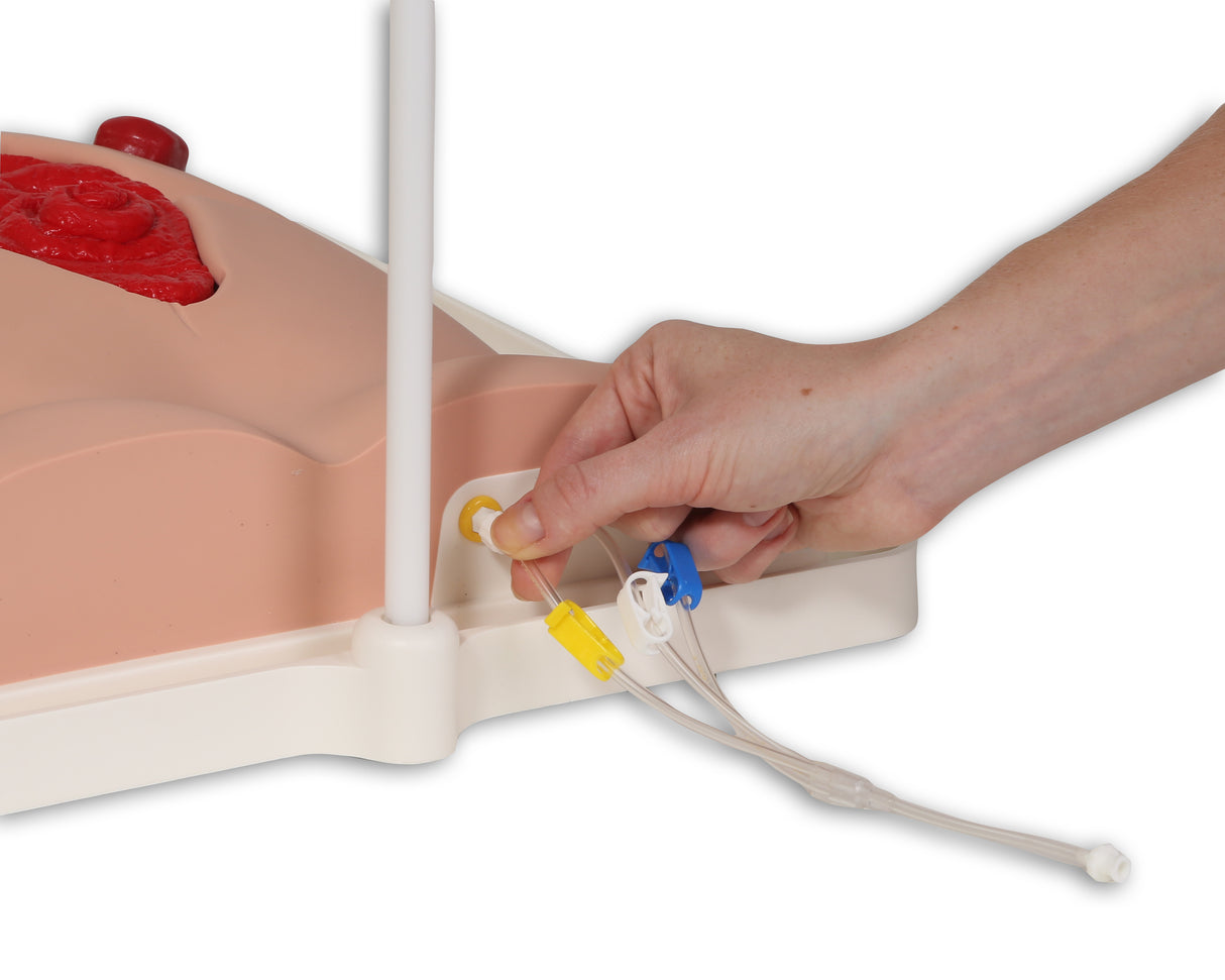 Freddie Fistula Skills Trainer With Case