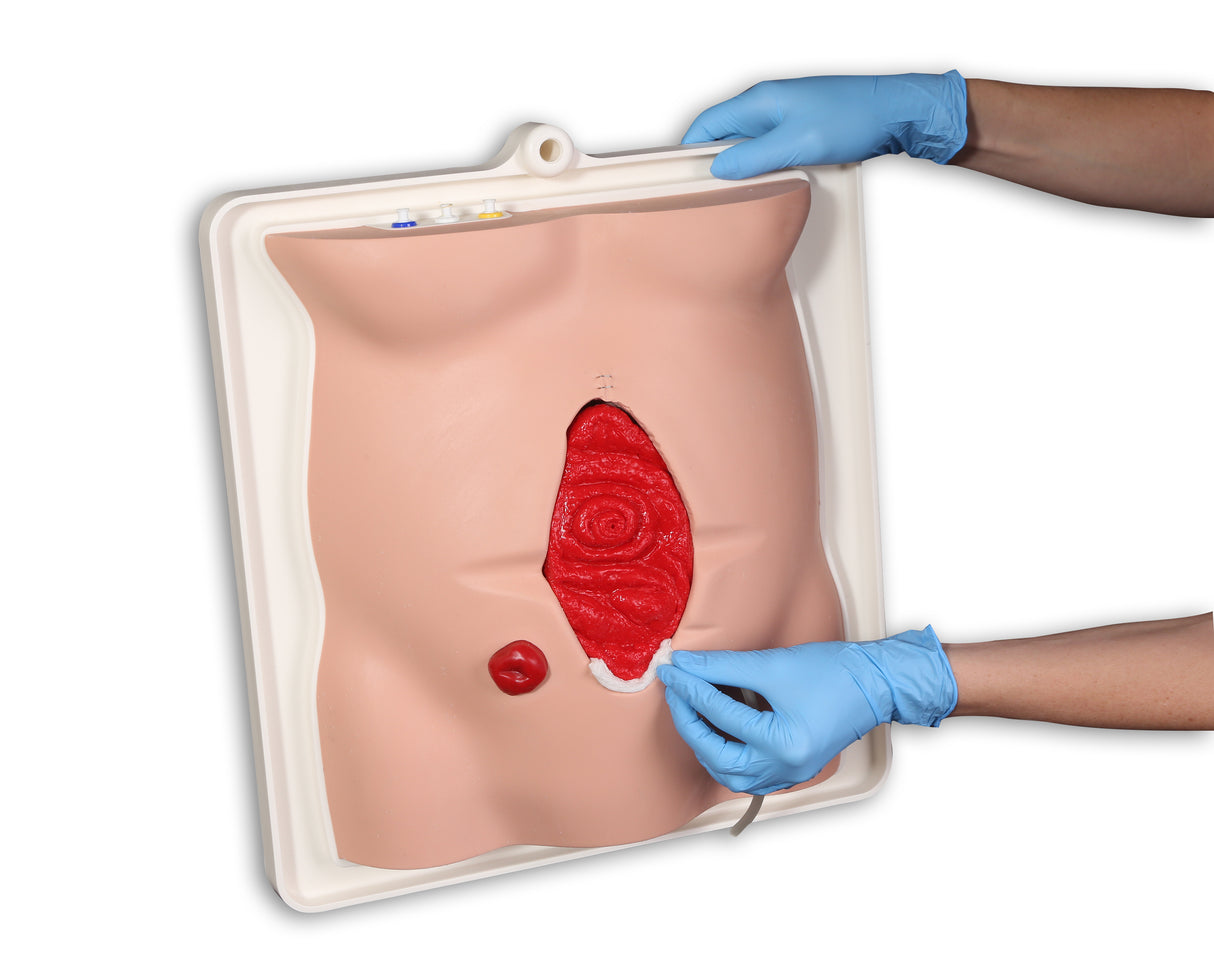 Freddie Fistula Skills Trainer With Case