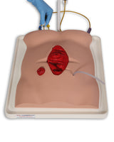Freddie Fistula Skills Trainer With Case