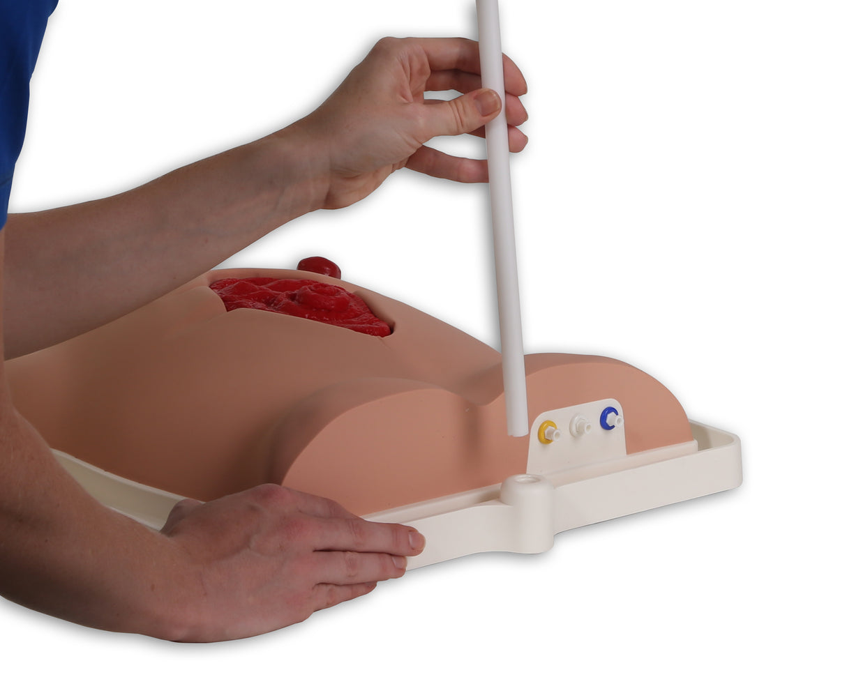 Freddie Fistula Skills Trainer With Case