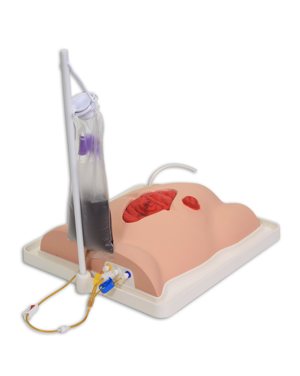 Freddie Fistula Skills Trainer With Case