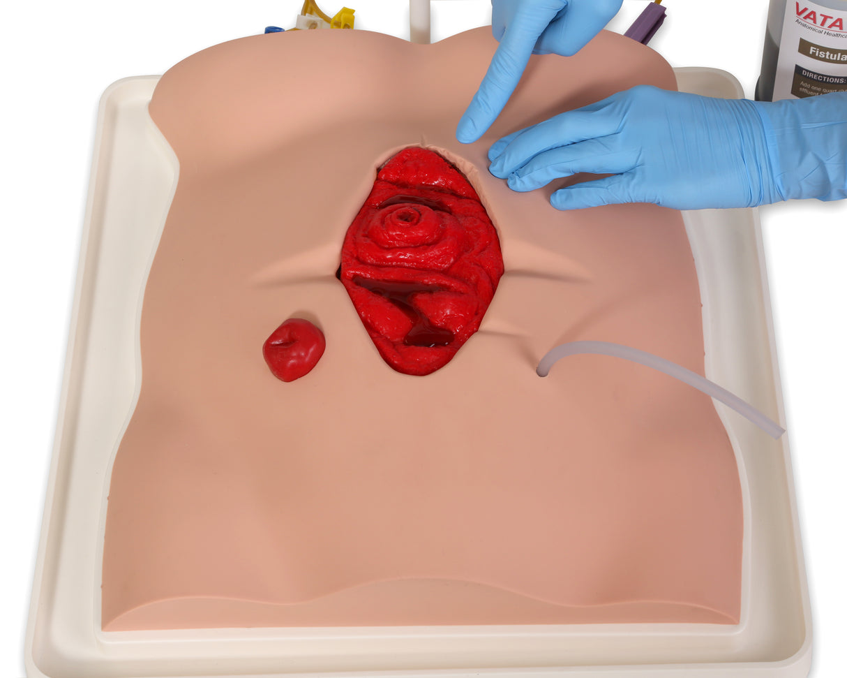 Freddie Fistula Skills Trainer With Case