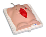 Freddie Fistula Skills Trainer With Case
