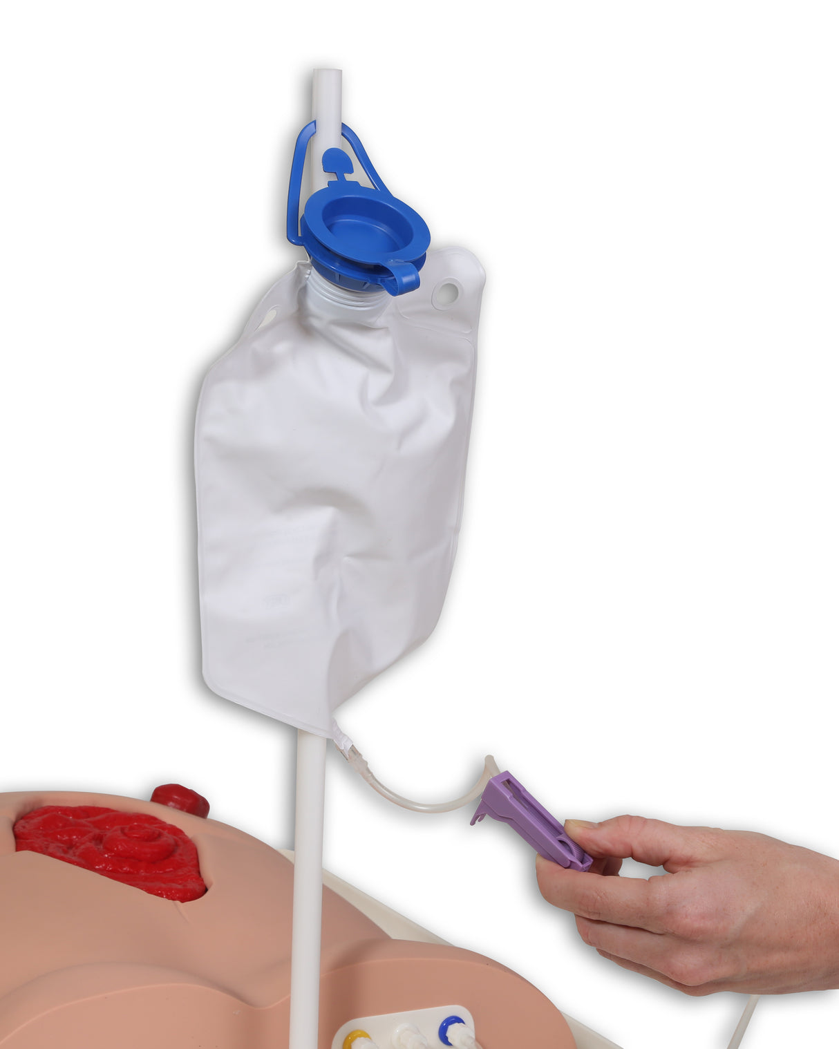 Freddie Fistula Skills Trainer With Case