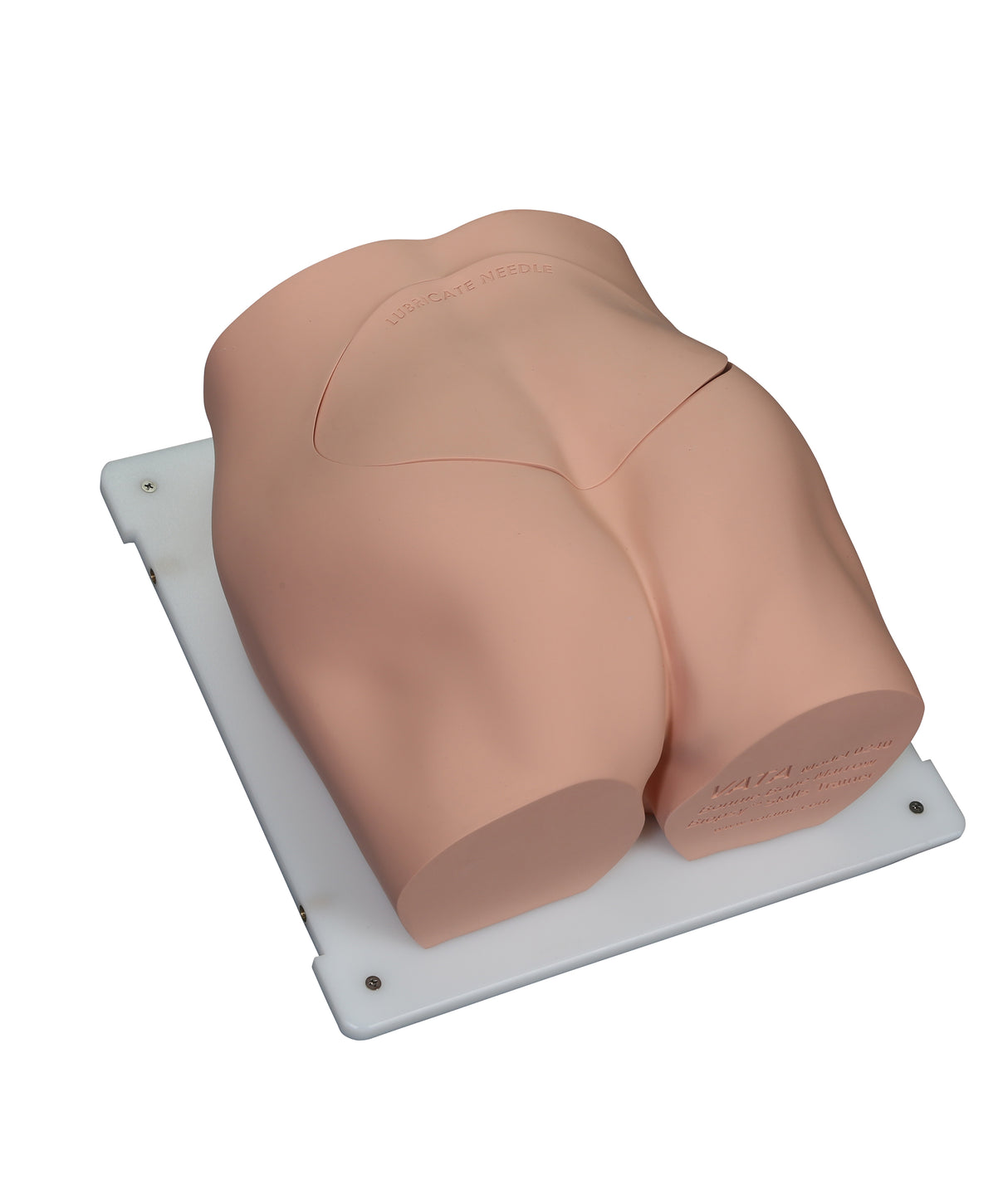 Bonnie Bone Marrow Biopsy™ Skills Trainer With Case & 5-Pack Of Illiac Crest Inserts