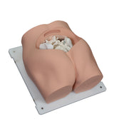 Bonnie Bone Marrow Biopsy™ Skills Trainer With Case & 5-Pack Of Illiac Crest Inserts