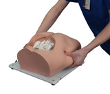 Bonnie Bone Marrow Biopsy™ Skills Trainer With Case & 5-Pack Of Illiac Crest Inserts