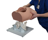 Bonnie Bone Marrow Biopsy™ Skills Trainer With Case & 5-Pack Of Illiac Crest Inserts