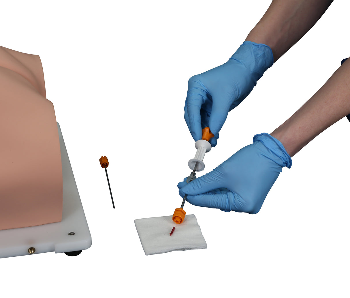 Bonnie Bone Marrow Biopsy™ Skills Trainer With Case & 5-Pack Of Illiac Crest Inserts