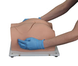 Bonnie Bone Marrow Biopsy™ Skills Trainer With Case & 5-Pack Of Illiac Crest Inserts