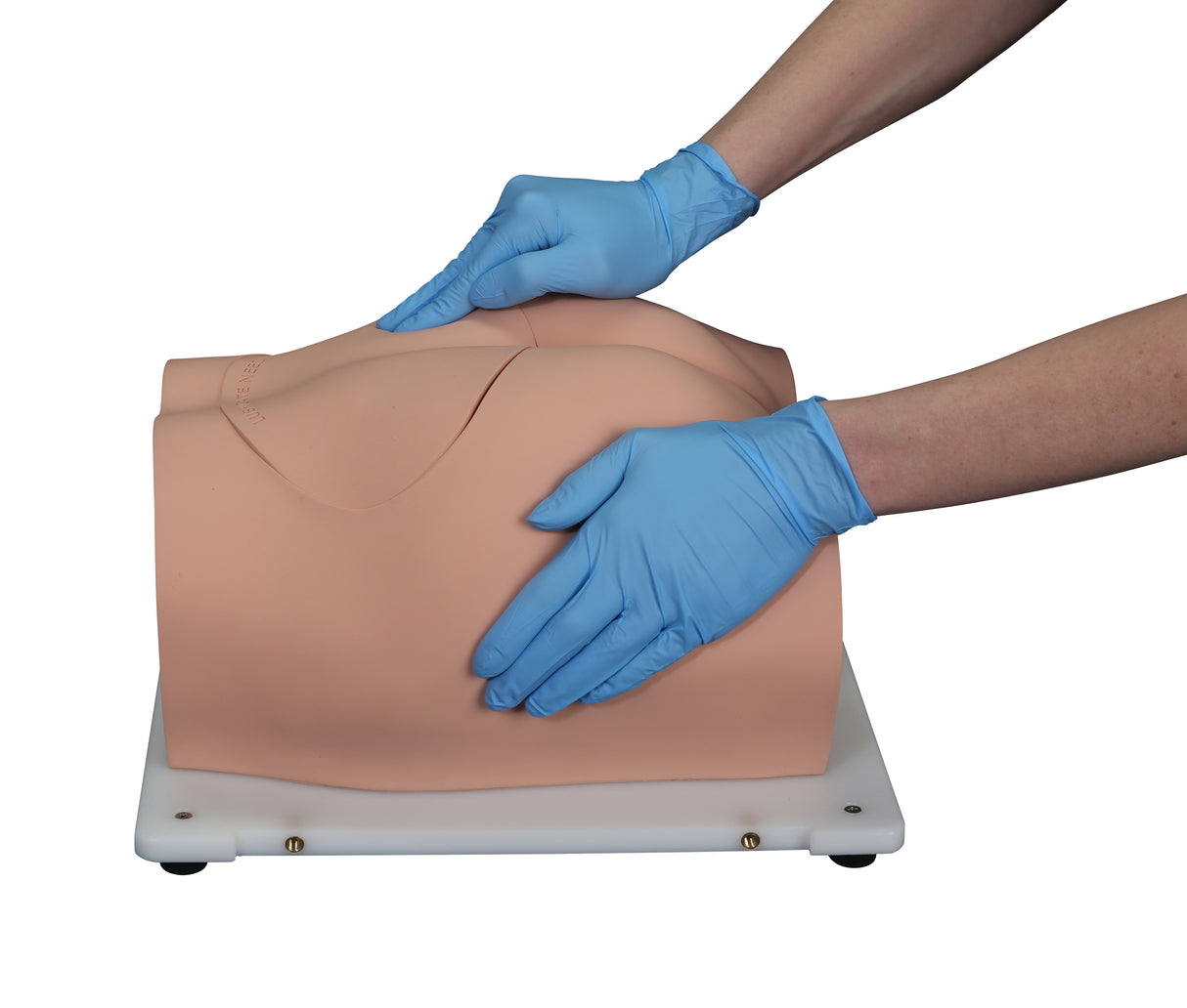 Bonnie Bone Marrow Biopsy™ Skills Trainer With Case & 5-Pack Of Illiac Crest Inserts