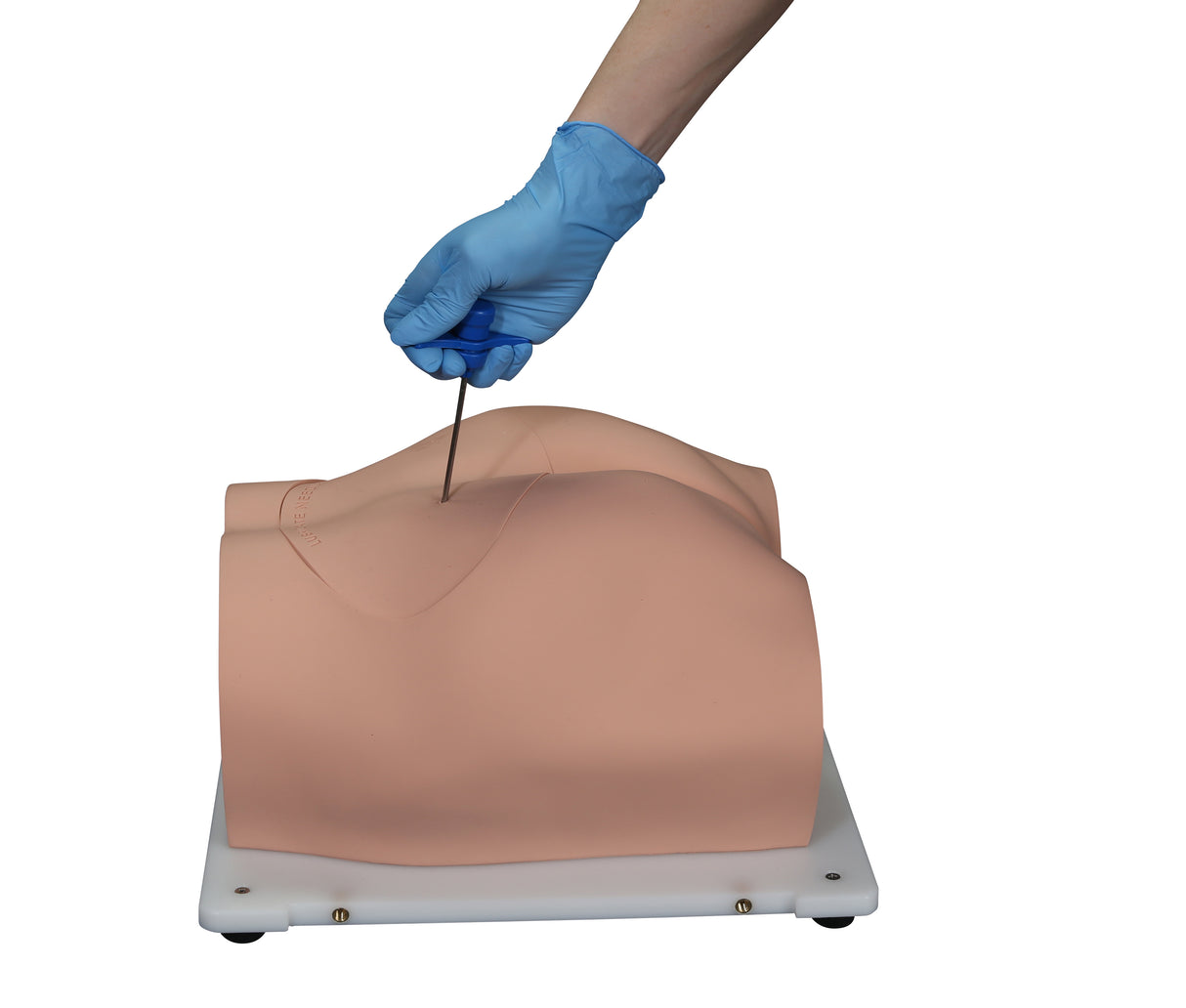 Bonnie Bone Marrow Biopsy™ Skills Trainer With Case & 5-Pack Of Illiac Crest Inserts