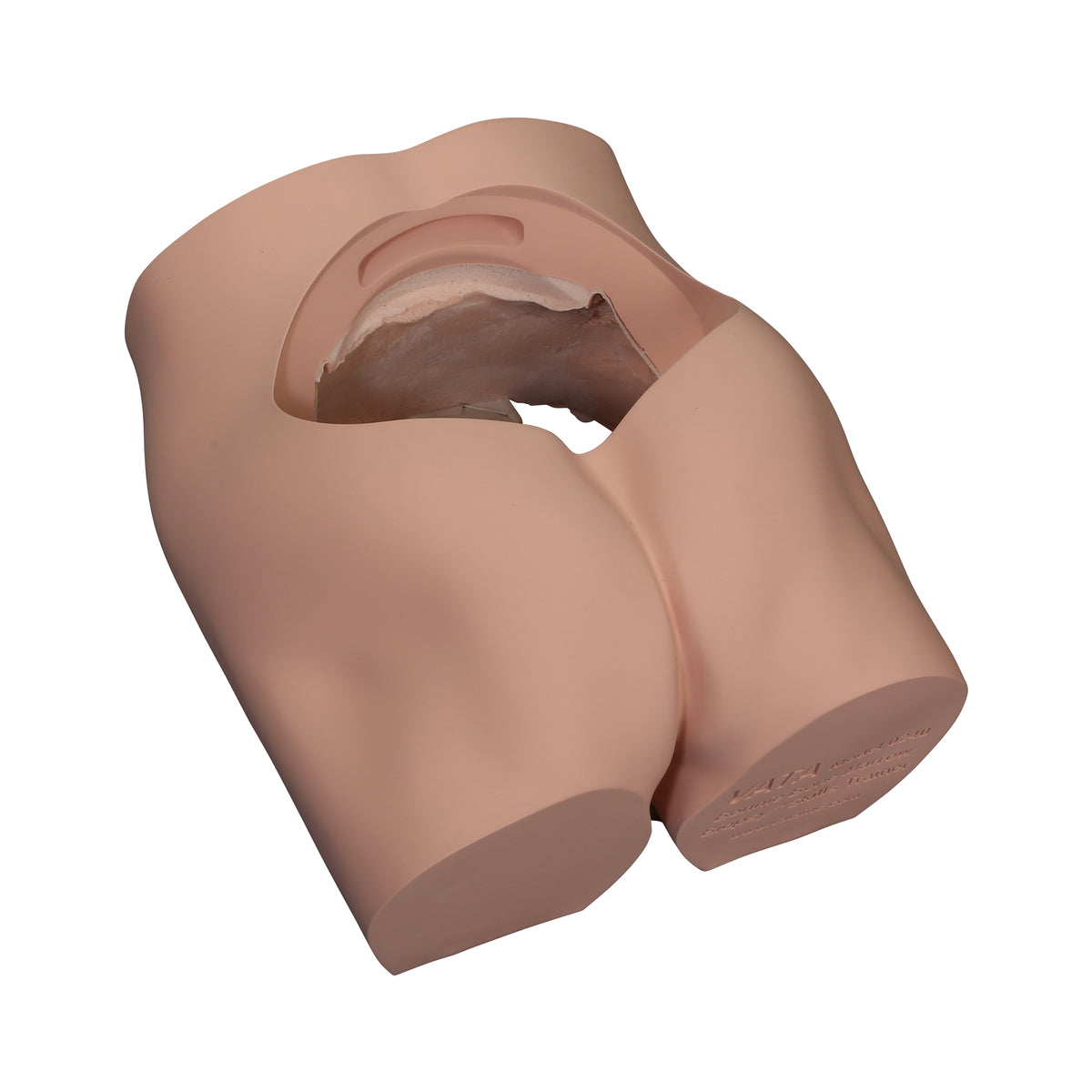 Body Skin Shell Replacement For Bone Marrow Biopsy Skills Trainer ...