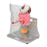 Otto Ostomy™ Advanced Model With Case