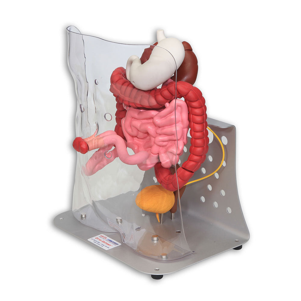 Otto Ostomy™ Advanced Model With Case