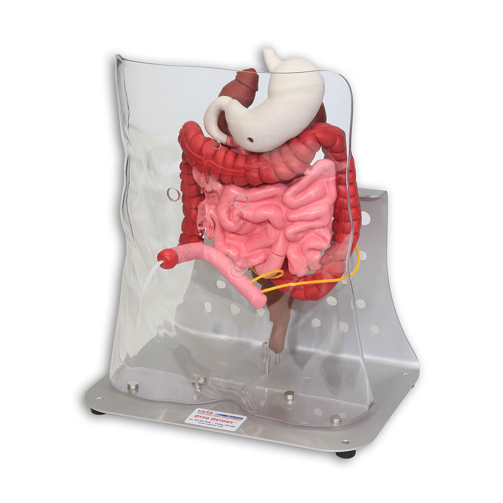 Otto Ostomy™ Advanced Model With Case