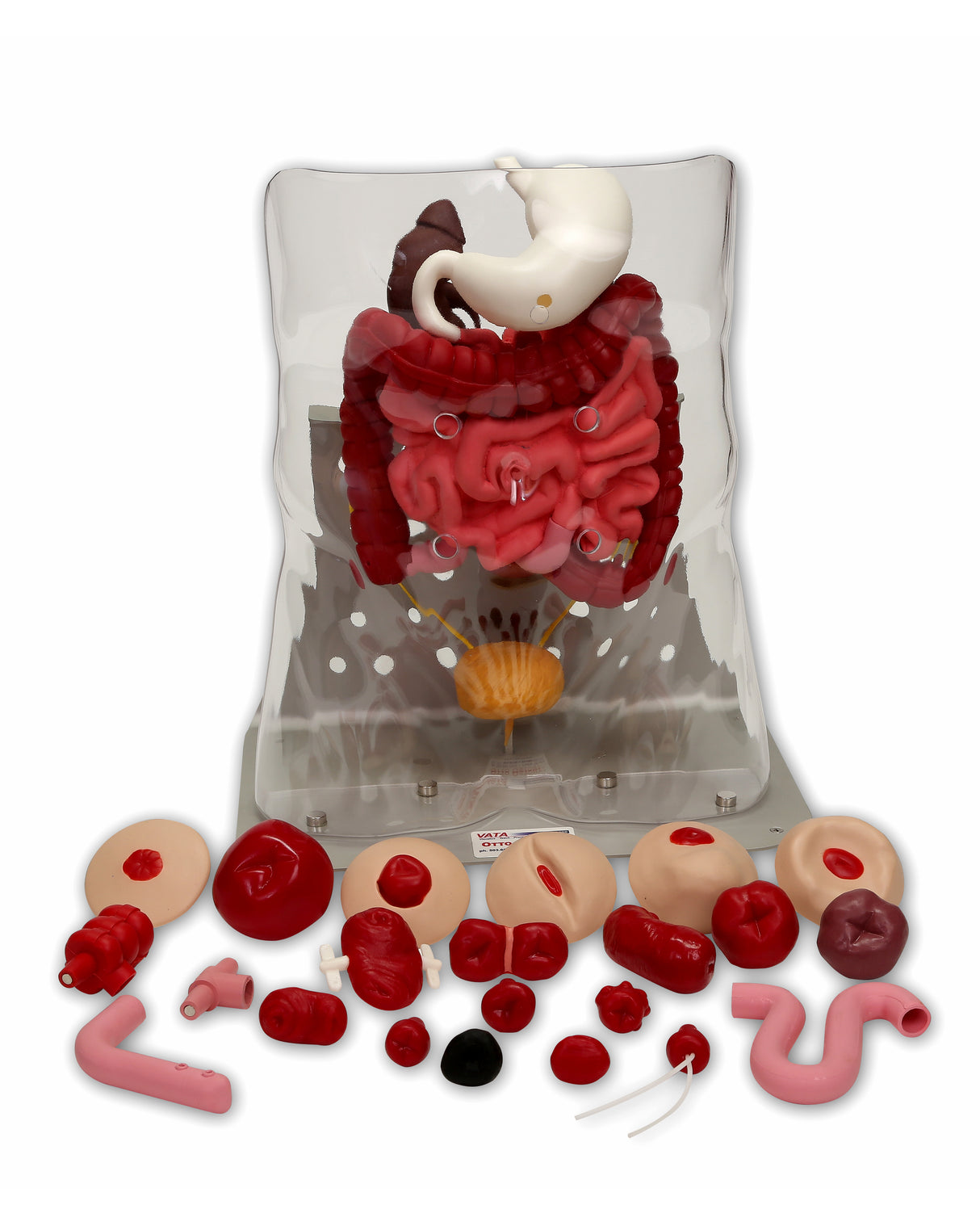 Otto Ostomy™ Advanced Model With Case