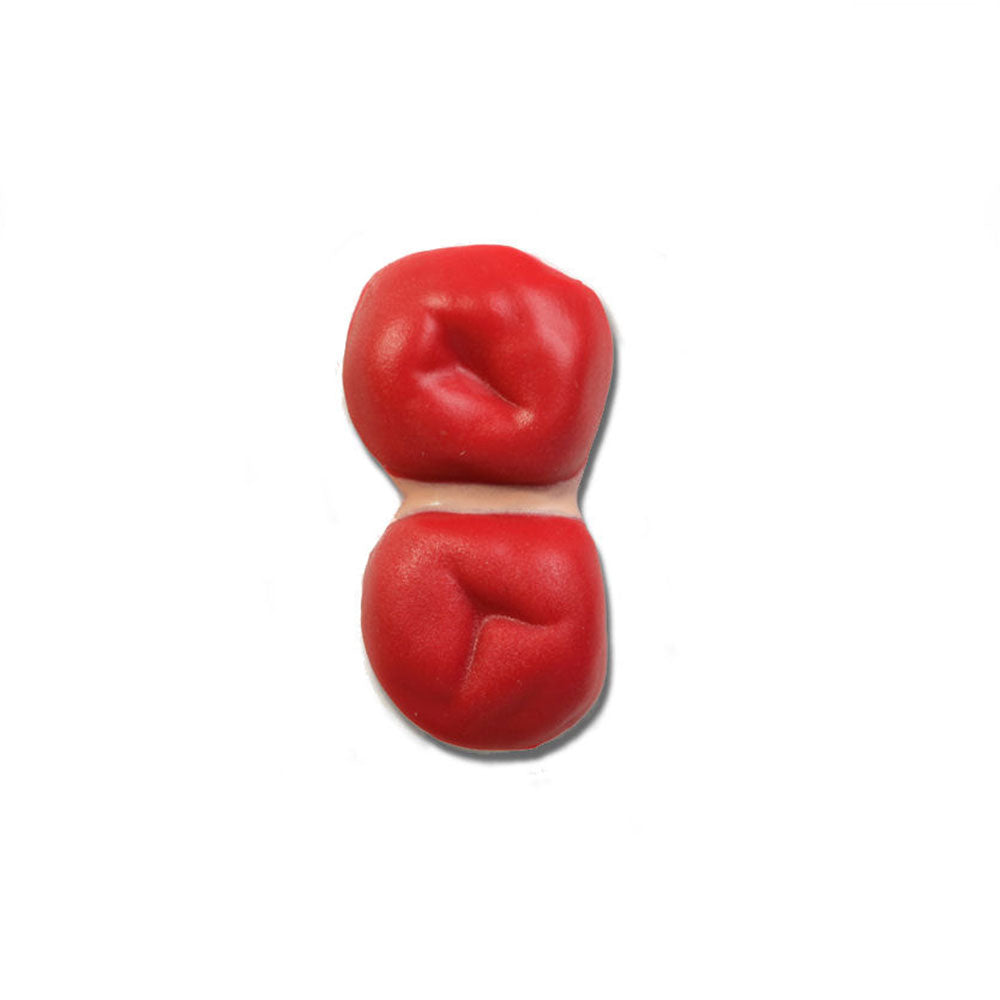 Double Barrel Stoma For Use With Otto Ostomy