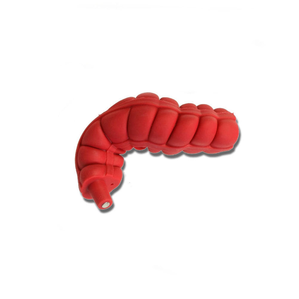 Ascending/Transverse Large Intestine  For Use With Otto Ostomy
