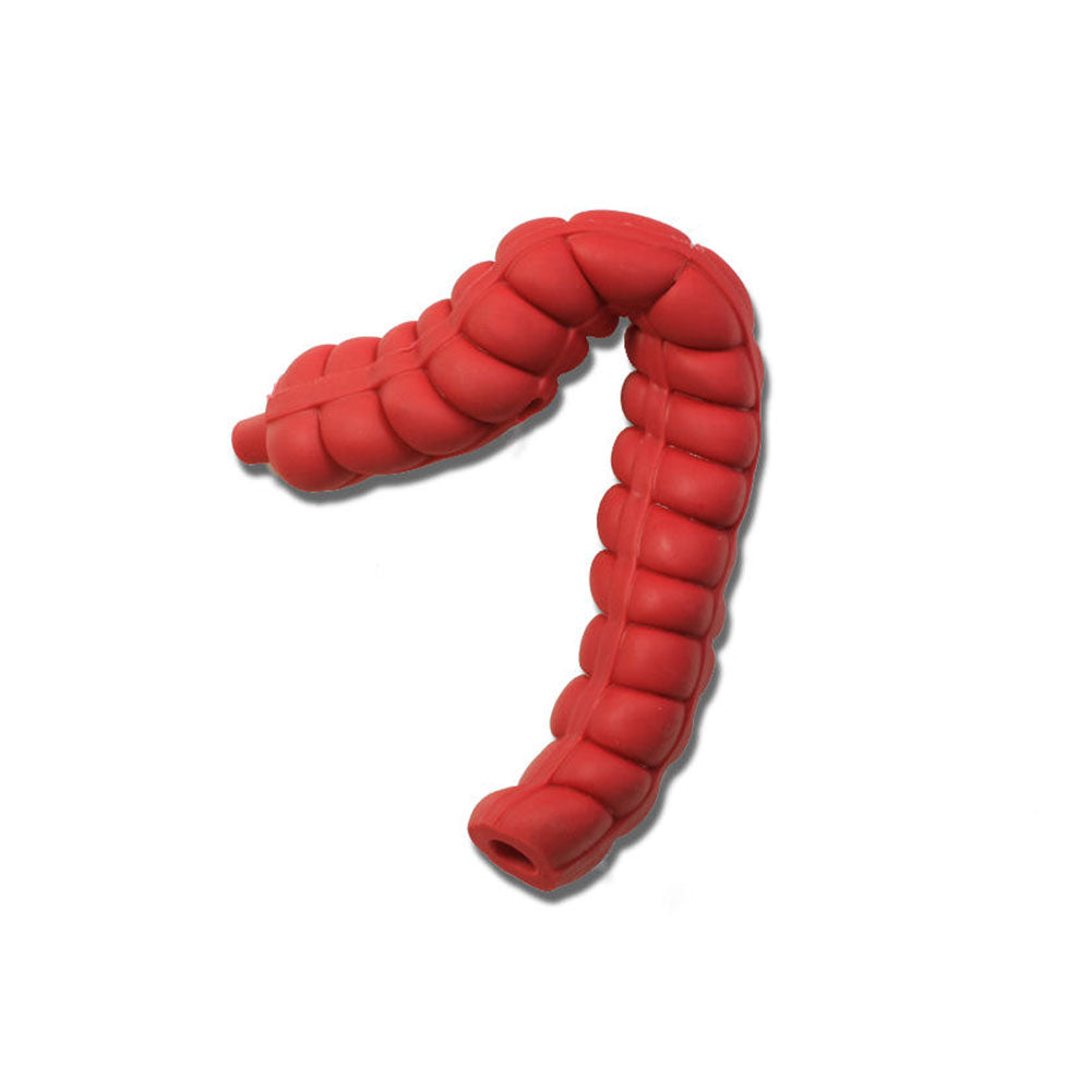 Transverse/Descending Large Intestine For Use With Otto Ostomy