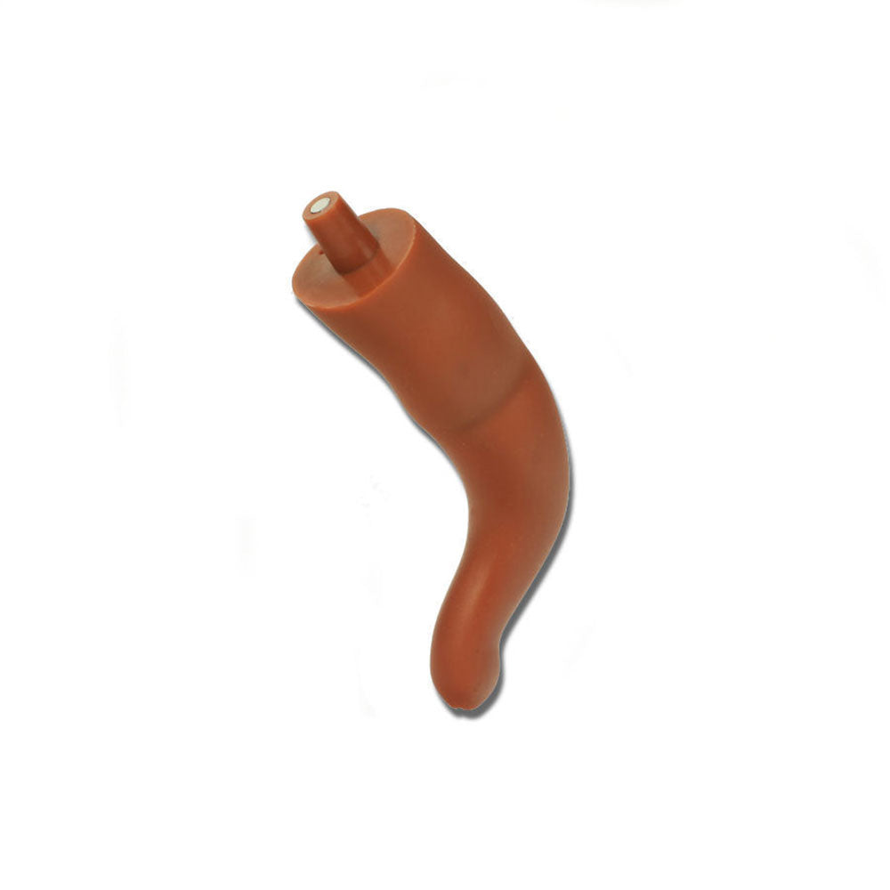 Rectum For Use With Otto Ostomy