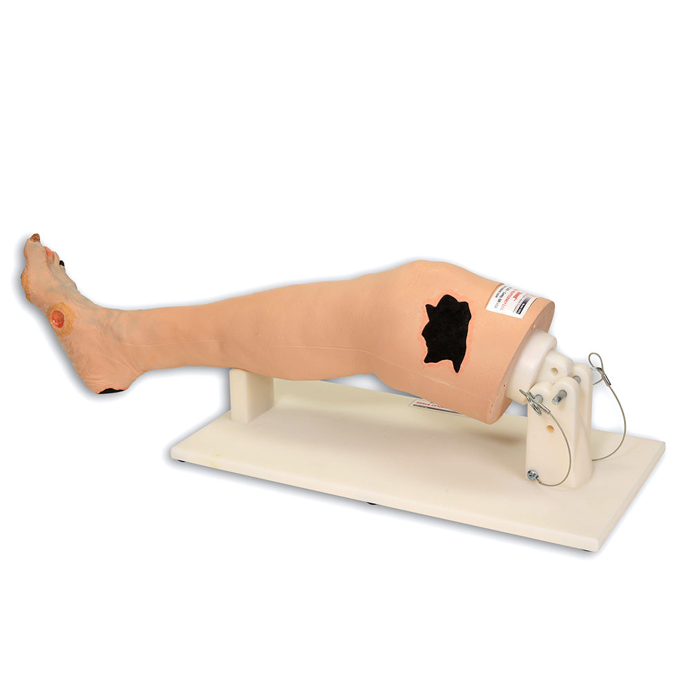 Annie Arterial Insufficiency Leg Model
