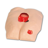 Stan Stage 4 Sacral Pressure Injury Model™