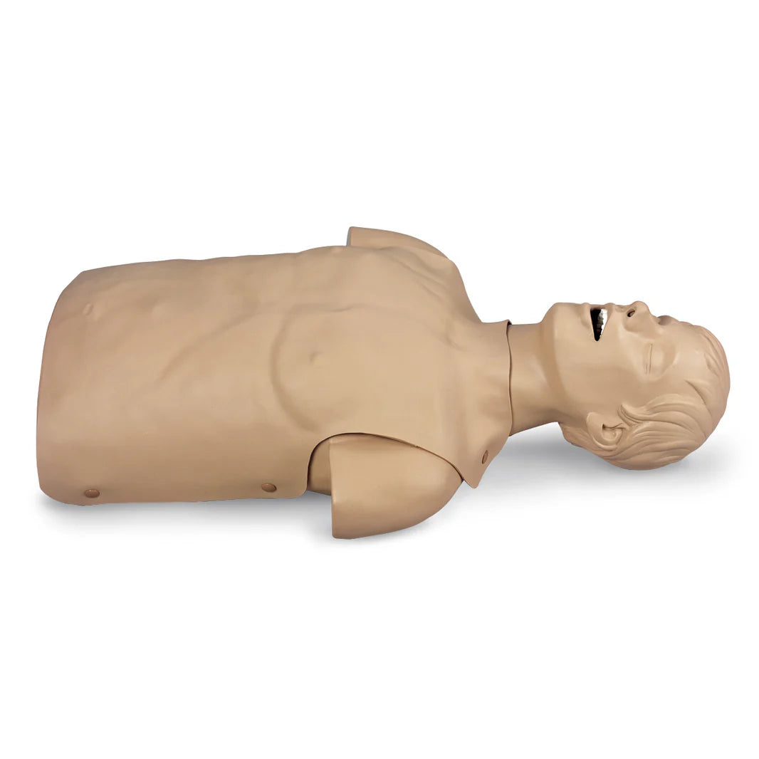 Adult Airway Management Torso