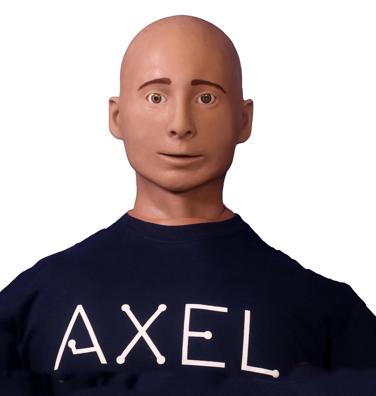 AXEL Patient Simulator