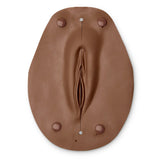 Vulva Fleshtone / OB Manikin