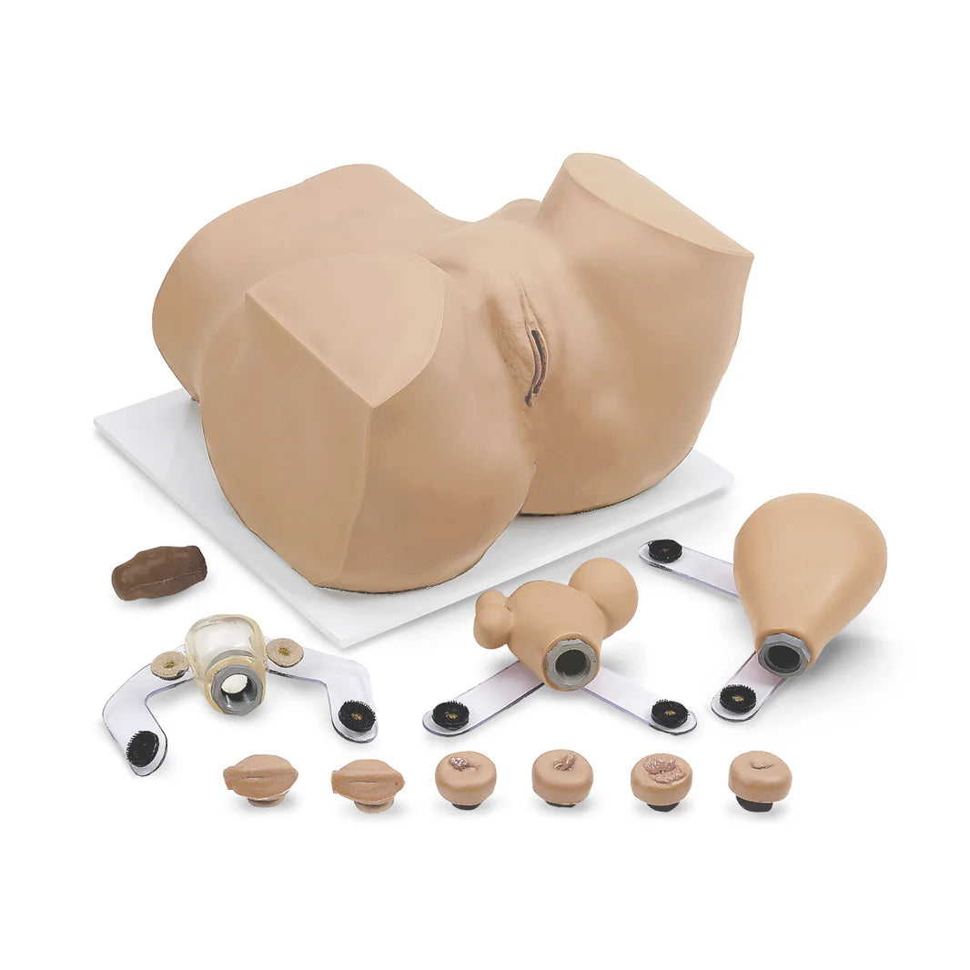 Eva Gynecologic Manikin With Carry Case