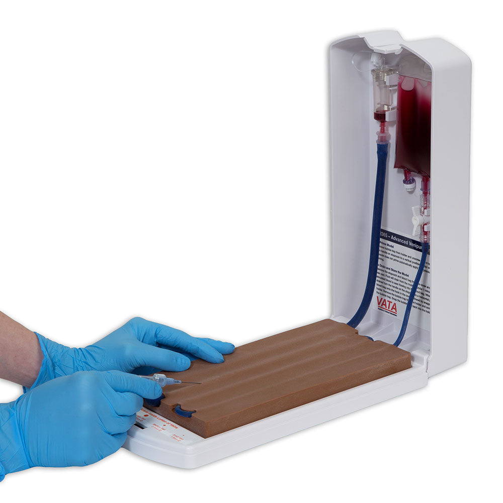 Advanced Four-Vein Venipuncture Training Aid - Latex Free Dermalike Ii™ And Dermalike V™