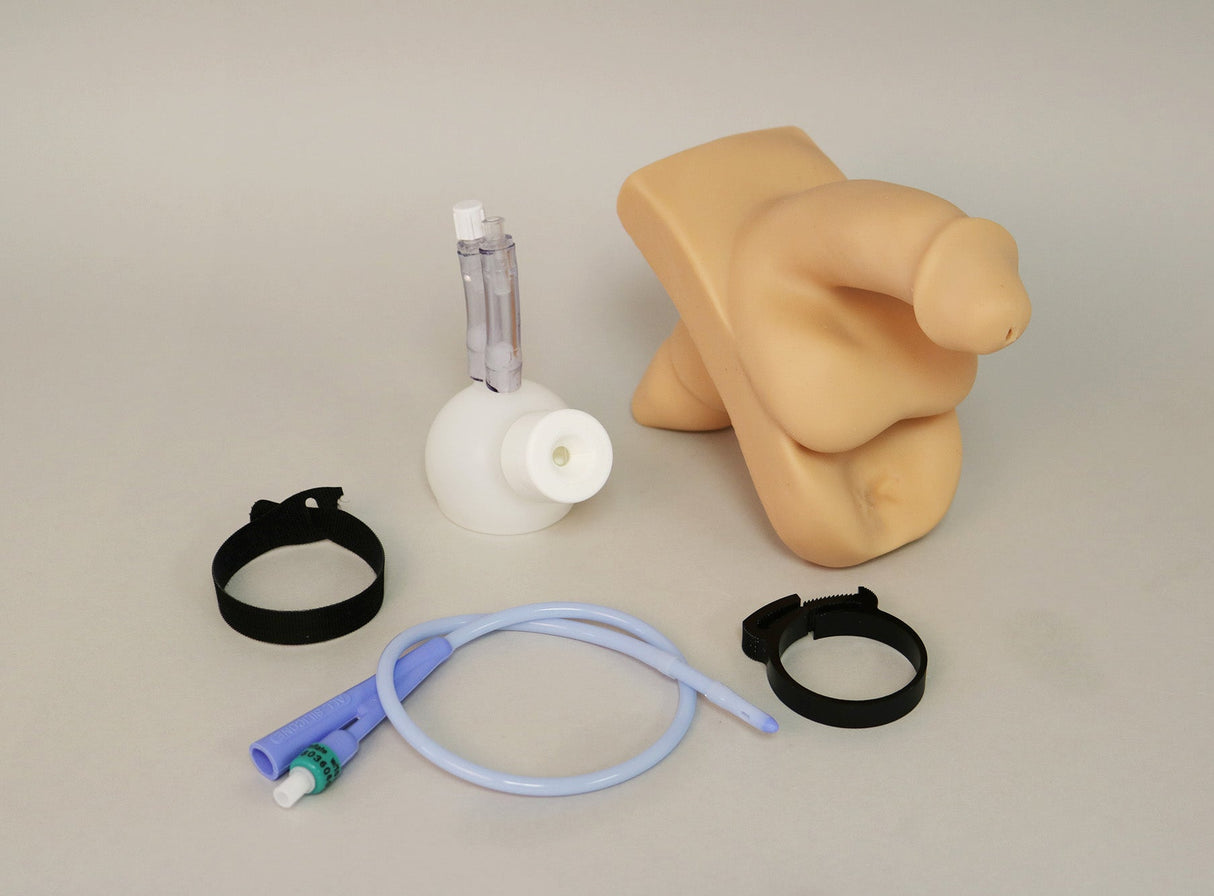 Willi Male Catheterization Trainer