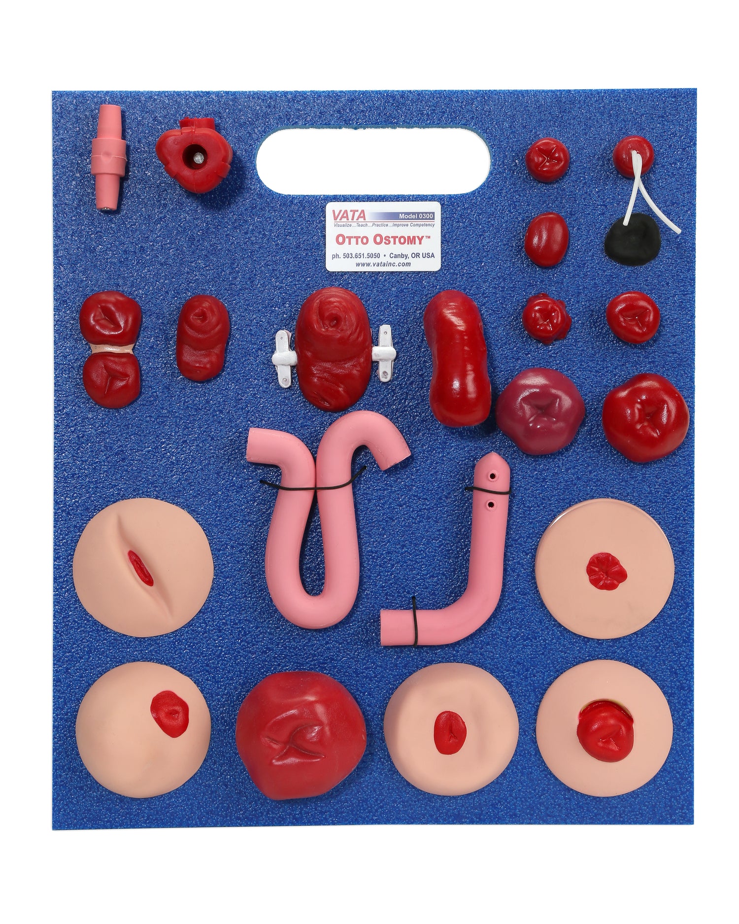 Stoma Inversion Tool Replacement Advanced Stoma Package – Anchor Simulation
