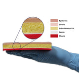 Suture Skill Trainer