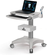 Heavy Duty Mobile Computer Workstation