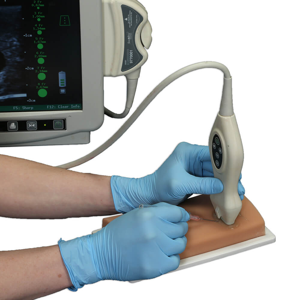Vascular Access Ultrasound Phantom (4 Vein Bifurcated W/ Deep Vein)