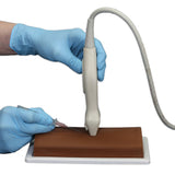 Vascular Access Ultrasound Phantom (4 Vein Bifurcated W/ Deep Vein)