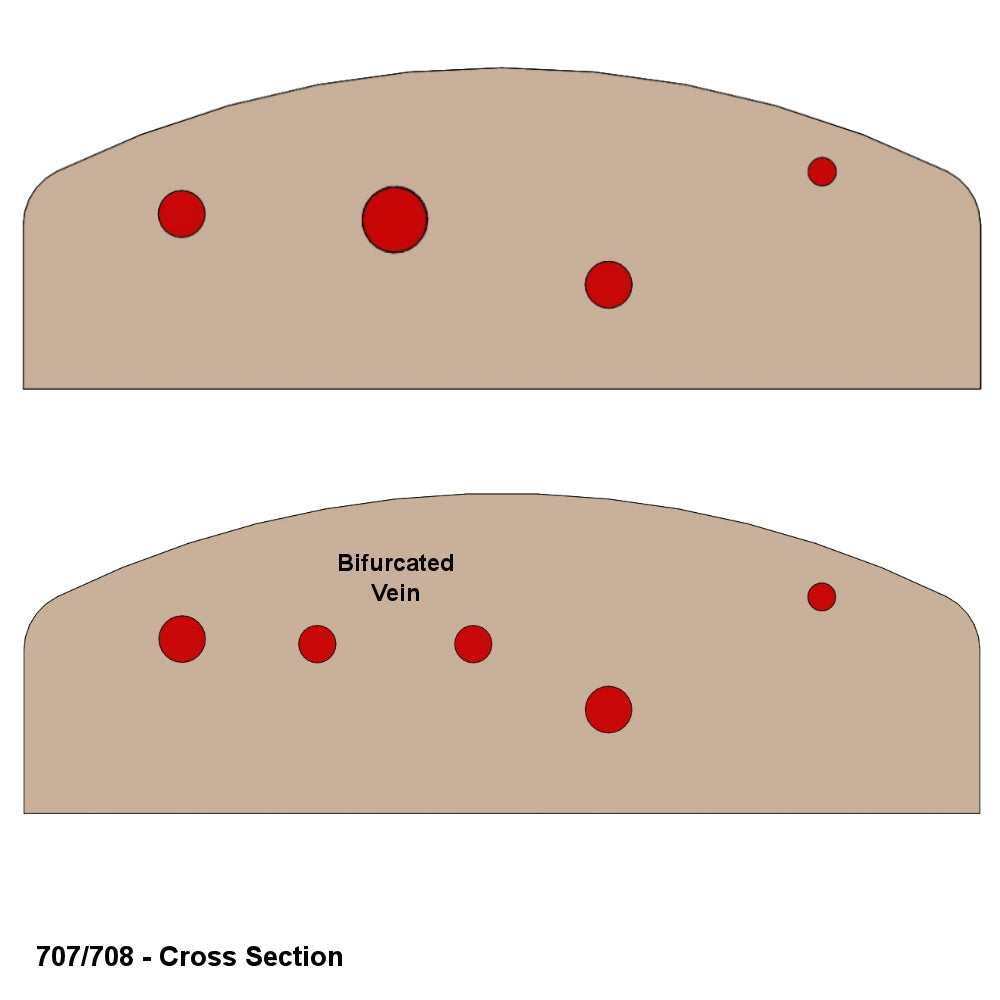 Vascular Access Ultrasound Phantom (4 Vein Bifurcated W/ Deep Vein)